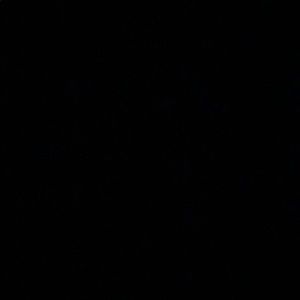 Meet your Posher, Maddie